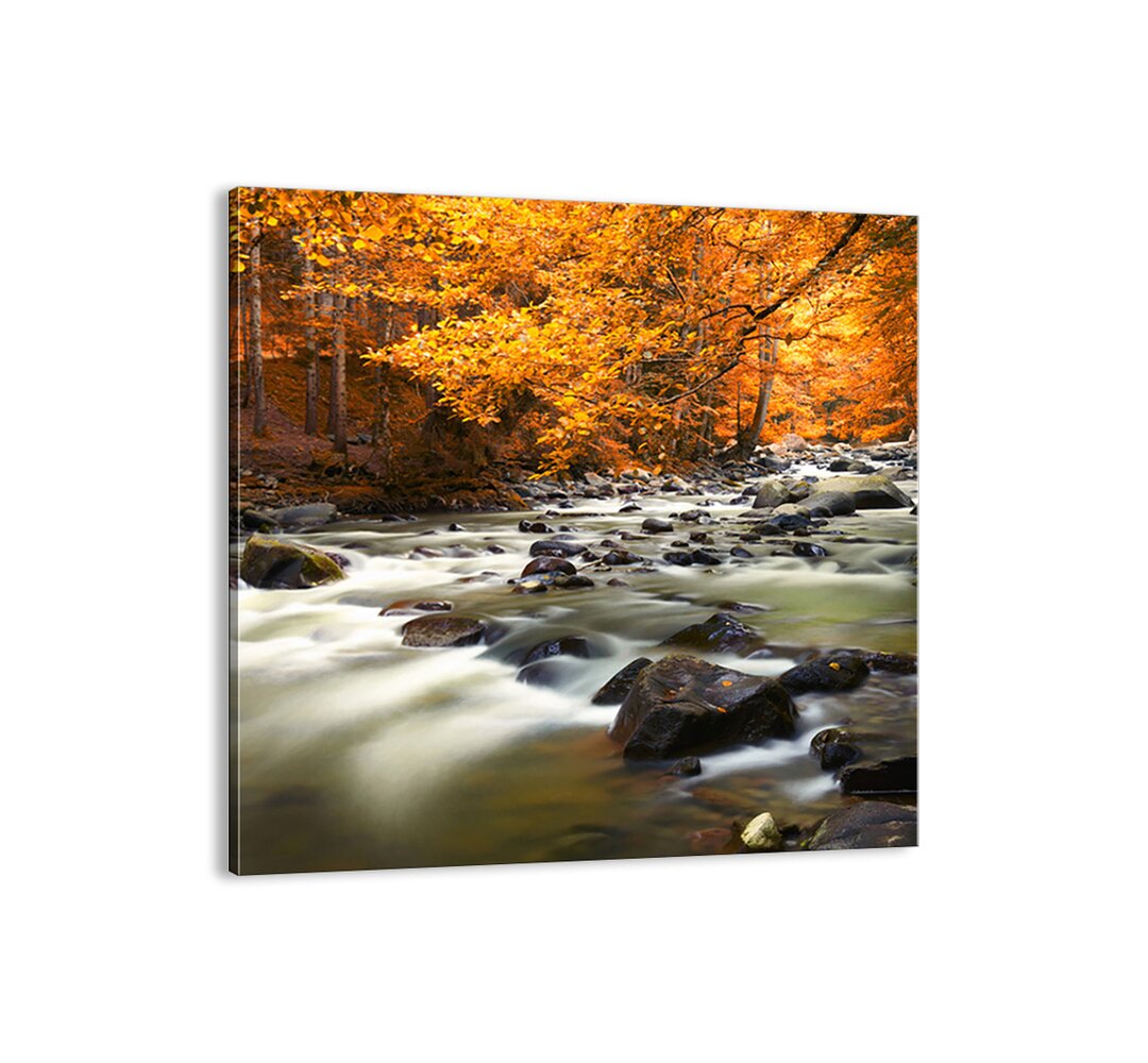 Leinwandbild Ein Bach in einem goldenen Wald