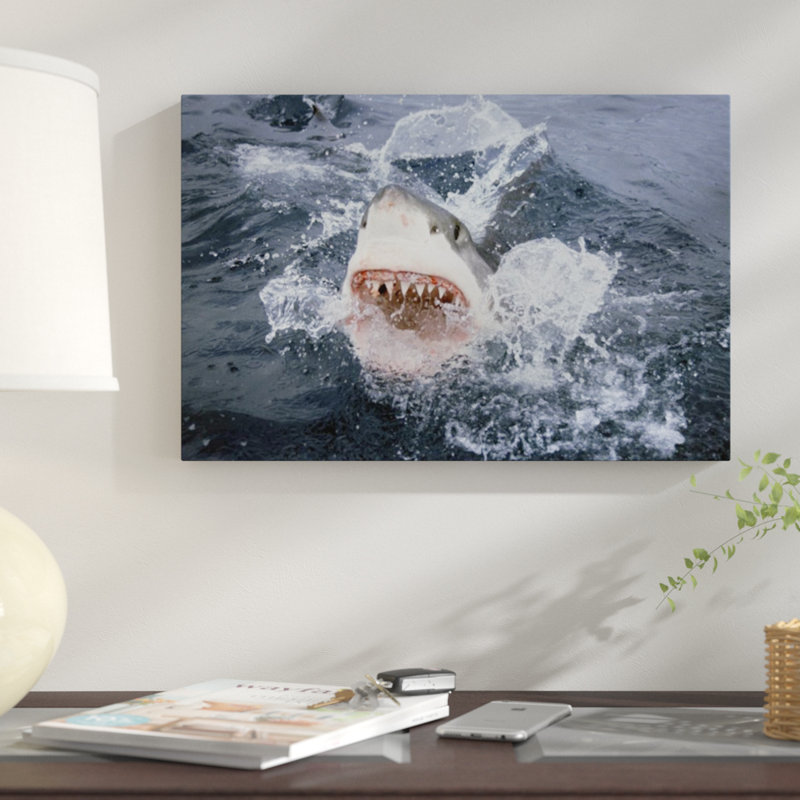 " Great White Shark Breaking Surface Of Water To Feed, Neptune Islands, South Australia ", Black Framed