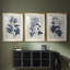 Fleurs pressées bleu marine VI - reproduction sur mesure encadrée de qualité supérieure - 3 pièces-128661434-128661437