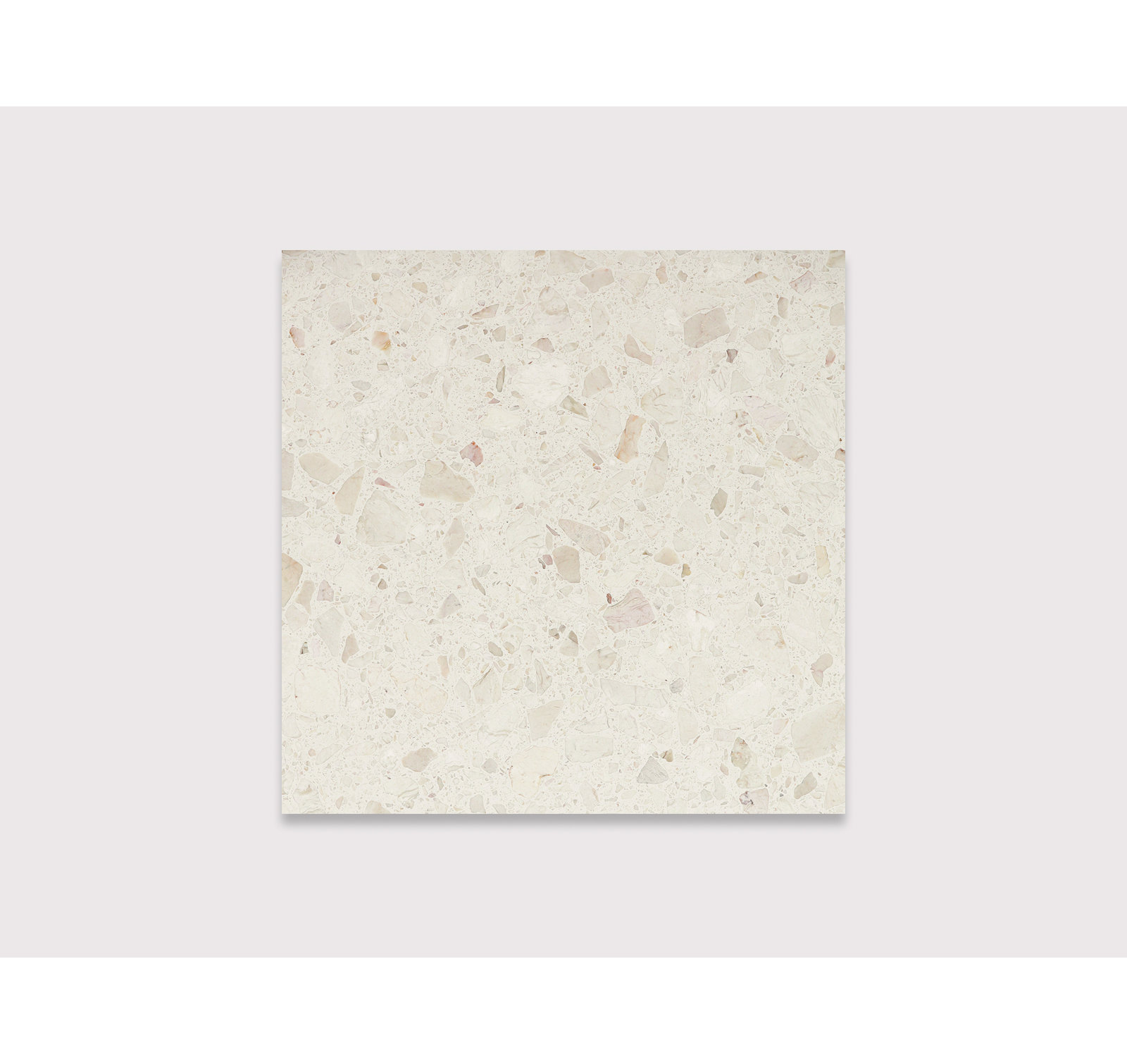 CHIPS Lisin 24" x 24"