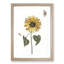 Sunflower with Butterflies by Johan Teyler - Picture Frame Painting Print-55613866-55613867