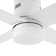 Poppe 52'' Ceiling Fan with LED Lights