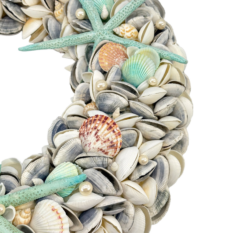 Coastal Seashell Wreath - 23"