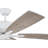 52'' Ceiling Fan with Light Kit-1260025072