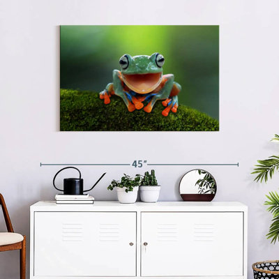 Brampt Happy Tree Frog