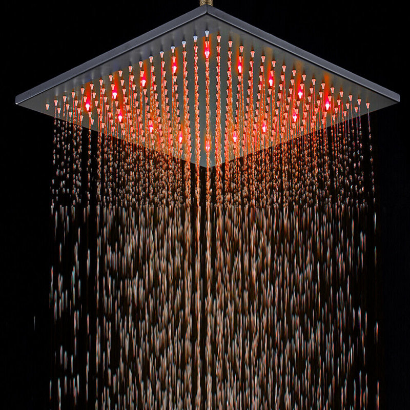 Wellman Rain Adjustable Shower Head, Black