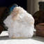 Apophyllite glacée cubique avec stilbite