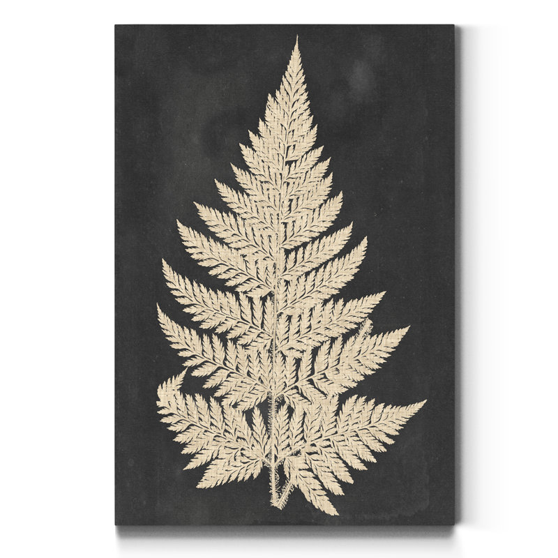 Linen Fern I - impression sur toile tendue, H 12 po x l 8 po x P 1 po
