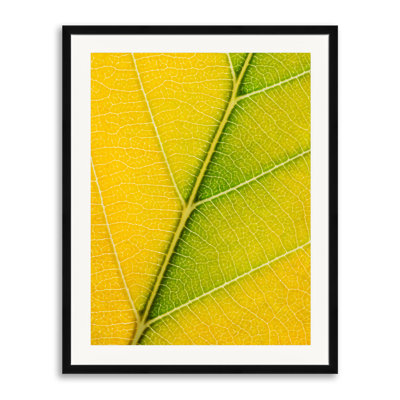 Philippe Monthoux  Autumn Leaf  by Philippe Monthoux