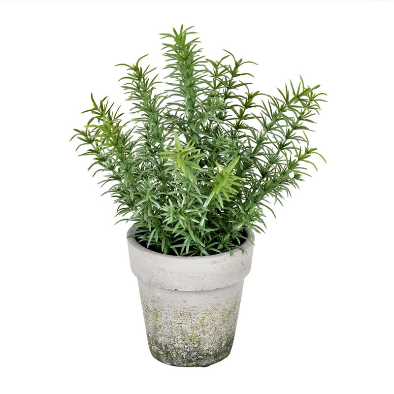 12.5'' Faux Plant in Cement Pot