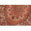 Pargu Wool Oriental Indoor Rug