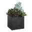 Plante grasse intérieure / extérieure Uttermost Greystone