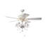Ventilateur de plafond en cristal à 5 pales 19 po avec chaîne de traction et ensemble d'éclairage inclus Ridgway