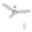 Ventilateur de plafond 48 po à 3 pales DEL intelligent avec télécommande et ensemble d'éclairage inclus.