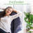 Pet Friendly American Plant Exchange English Ivy Green, Live Plant, Medium Leaf, 6-Inch Pot, Vining Houseplant