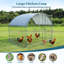 Elliya 57.26 Square Feet Chicken Coop For Up To 8 Chickens