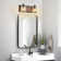 Dimmable Vanity Light with Seeded Glass