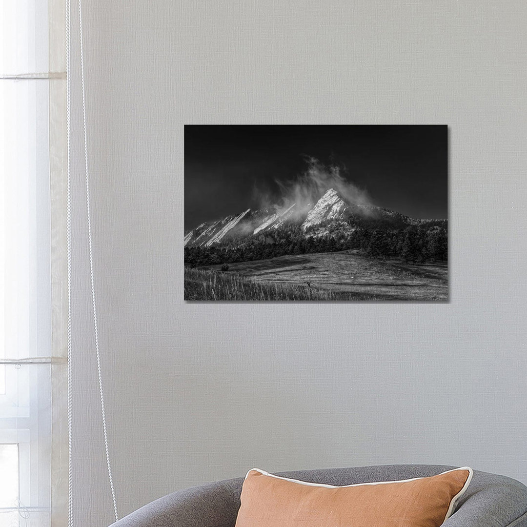 Frozen Whimsey, B&W von Bill Sherrell - No Frame Gallery-Wrapped Canvas Giclée on Canvas