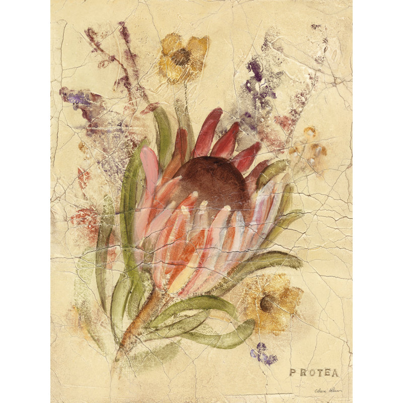 Protea sur toile par Cheri Blum, reproduction, H 24 po x l 18 po