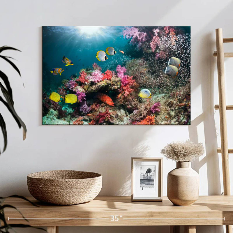Andaman Sea Life, H 16 po x l 24 po