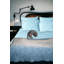 Ensemble de draps en micro-fibre-262294316-262294319