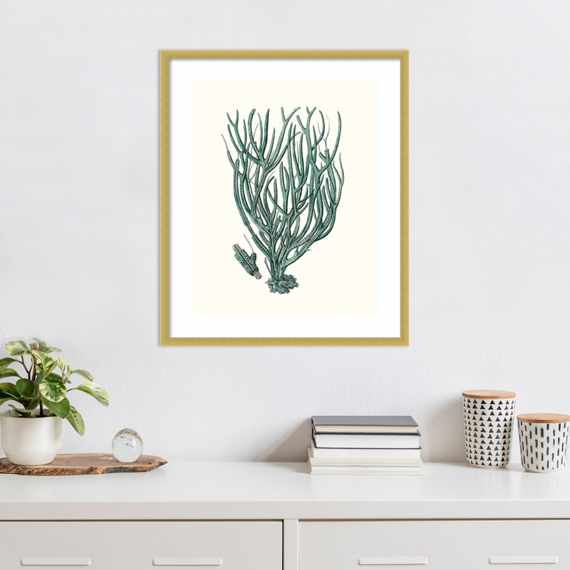 «Antique Coastal Coral VIII» par Johann Esper, impression sur bois encadrée, H 25 po x l 21 po