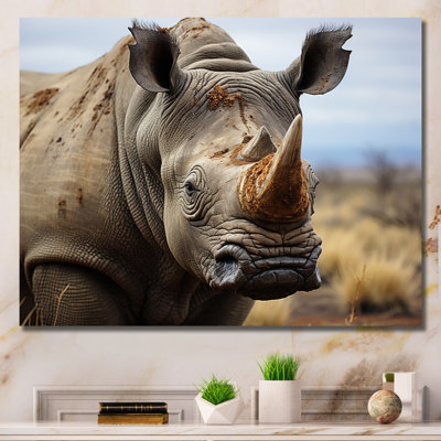 Rhinocéros, portrait monochrome