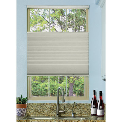 Cordless Blackout Cellular Shade
