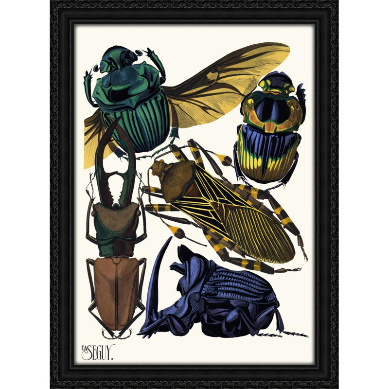 Insectes Pl.07 (1929), 32" H x 24" W