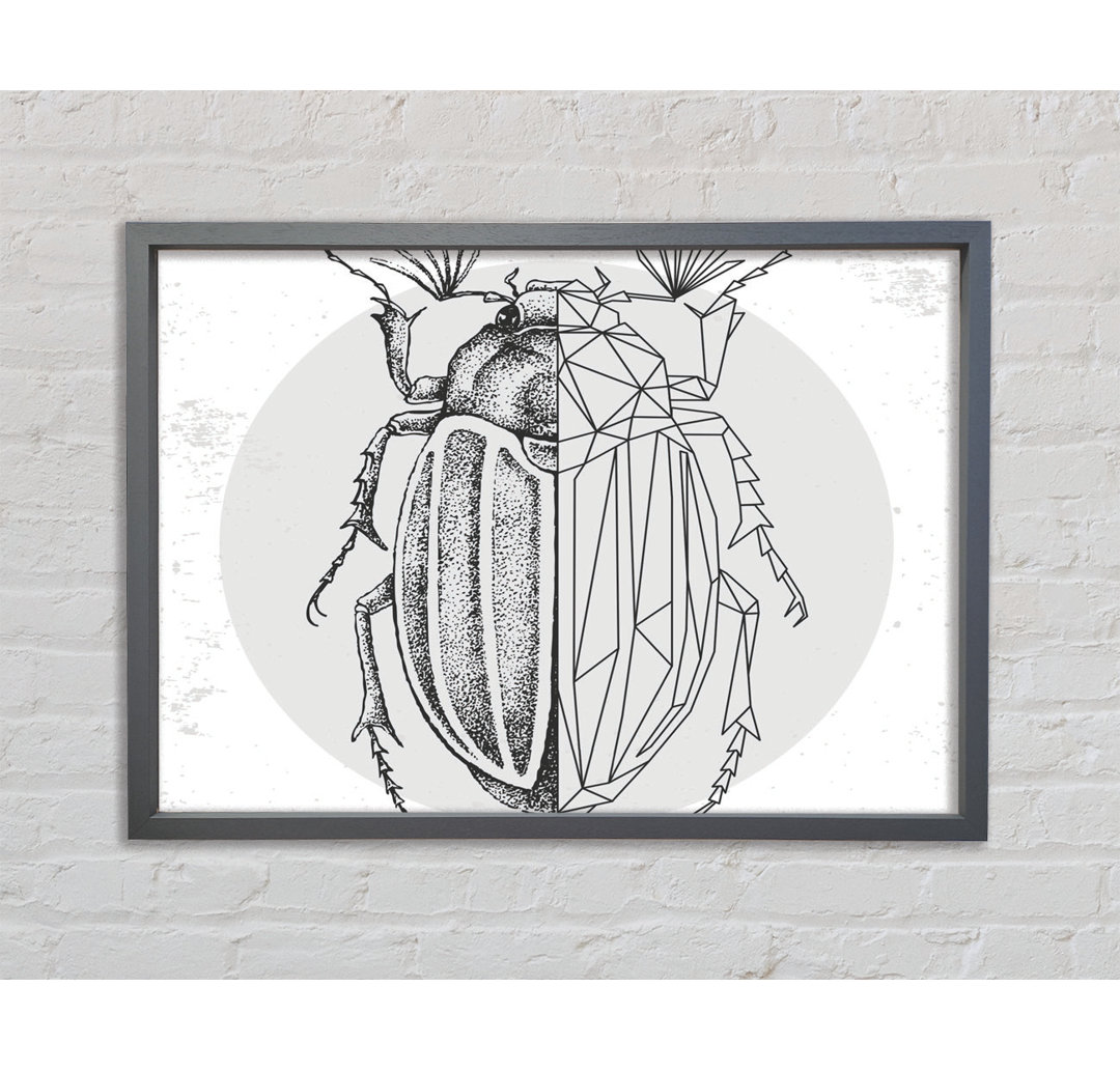 The Beetle Sketch - Single Picture Frame Kunstdrucke auf Leinwand