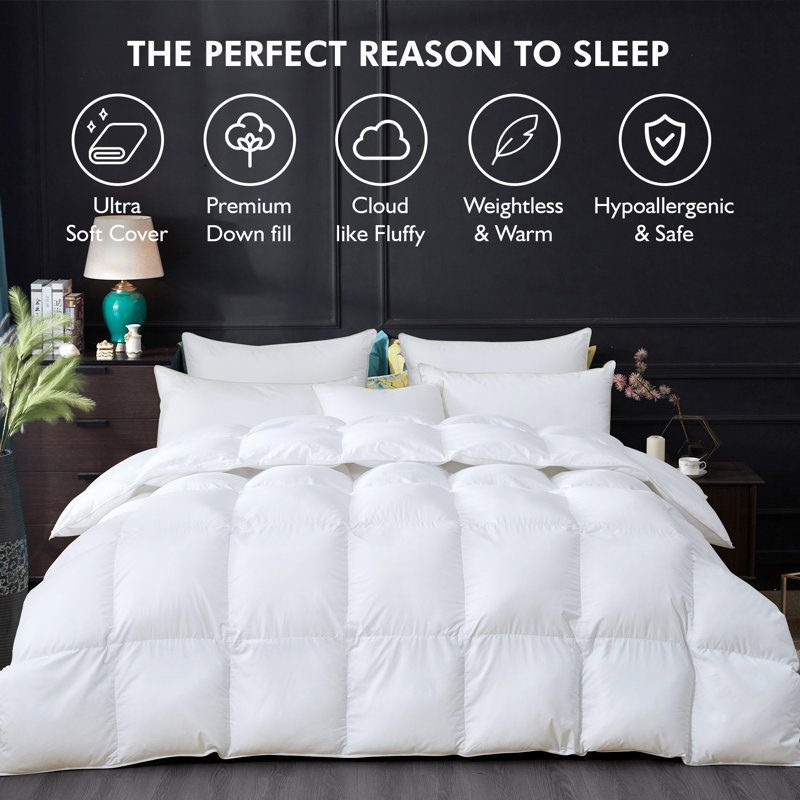 Édredon en duvet d'oie toutes saisons haute qualité de remplissage 750 po³ / oz Hotel Quality, Très grand lit