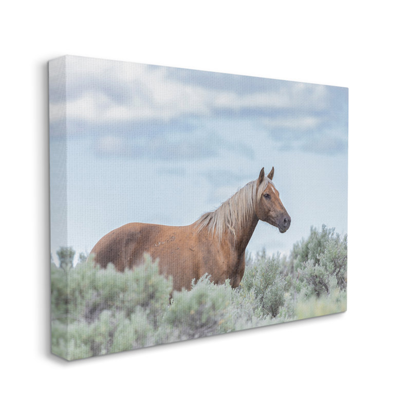 «Stallion Horse parmi les buissons» par Lauri McFerrin - photographie sur toile tendue, Toile tendue