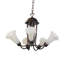 Jacumba 7 - Light Chandelier-974375096