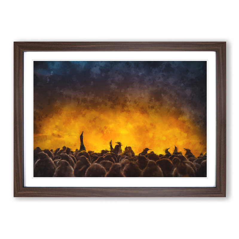 King Penguins and Orange Sunset - Picture Frame Painting Print, 45cm H x 63cm W x 2cm D, Walnut Framed