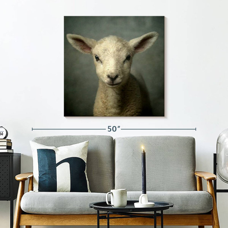 Crowle Newborn Lamb, 30" H x 30" W