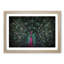 Mesmerising Pink & Green Peacock - Picture Frame Graphic Art Print-55739995-55739999