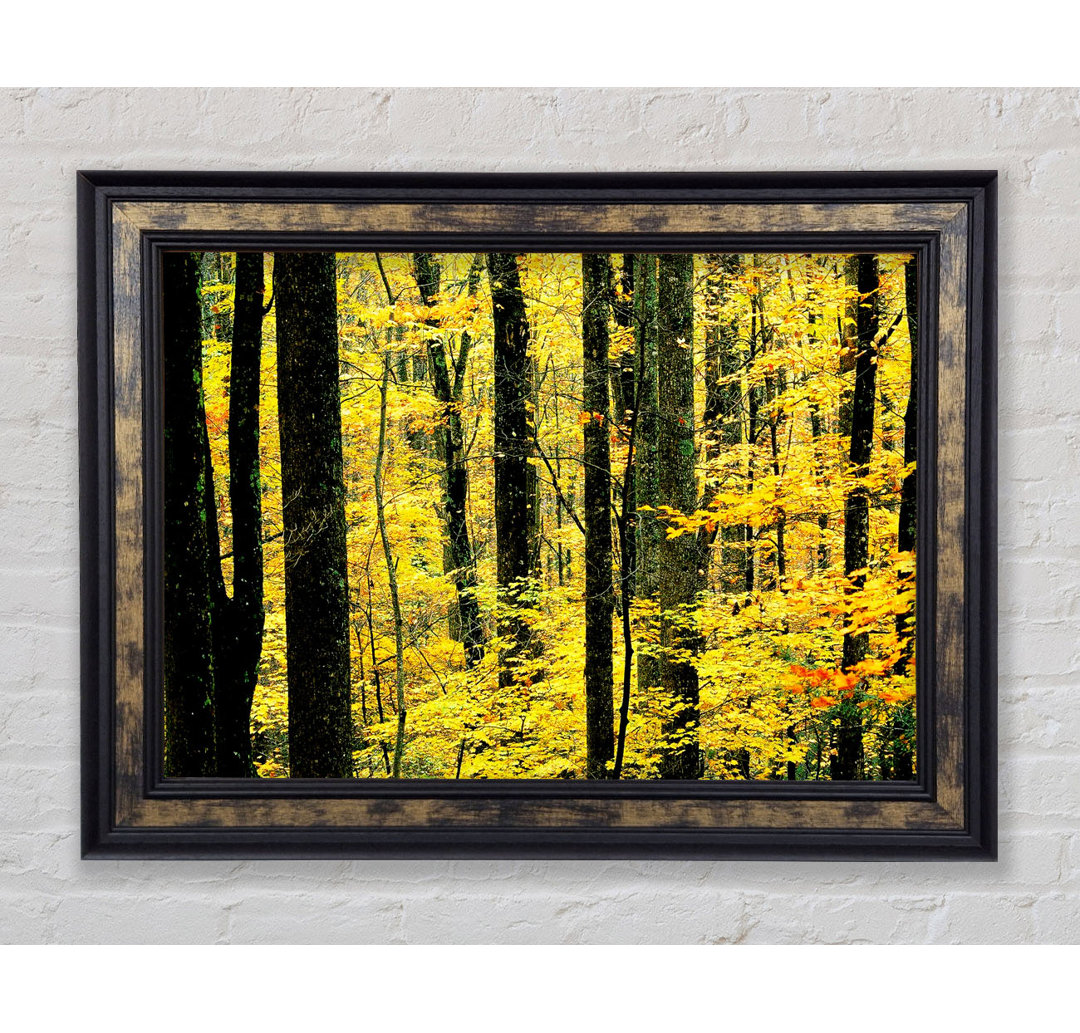 Yellow Woodland - Einzelner Bilderrahmen Kunstdrucke