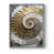 Gray is unavailable