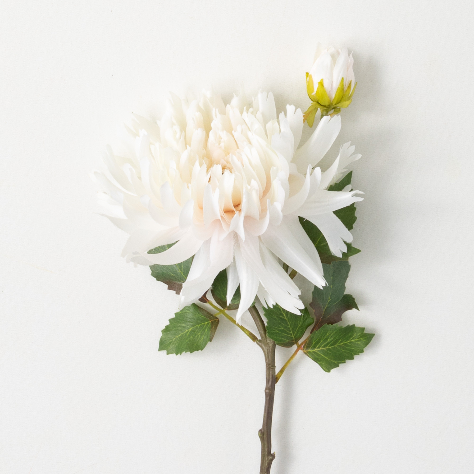 Primrue Dahlia Arrangement | Wayfair