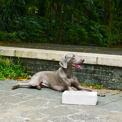 Duke Pet Bowl