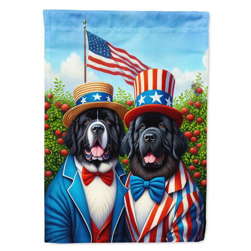 Drapeau «All American House», Terre-neuve