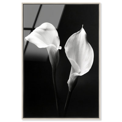 Calla Lily Print by Oliver Gal