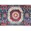 Aryana Wool Oriental Area Rug