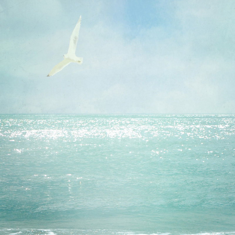 «Feeling Free» de Brodsky - reproduction de photo sur toile, H 18 po x l 18 po x P 1,5 po, Toile tendue