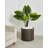 Handmade Pot Planter-1749131846-1749131840