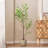 59.1"H ARTIFICIAL DISC LEAF TREE