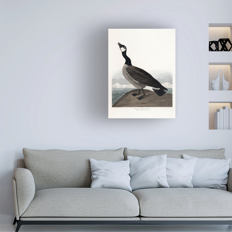«Barnacle Goose» par Hutchins, reproduction d'oiseaux sur toile de 1827, H 24 po x l 18 po x P 2 po
