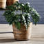 Wrapped Dry Basket Planter 17.75"-1516678594