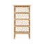 Chippendale Bookcase-111532603