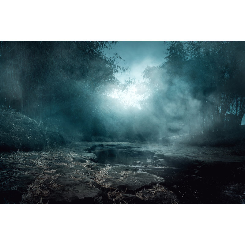 Creepy River by Fotokita - Wrapped Canvas Print, 30cm H x 46cm W x 3.8cm D	